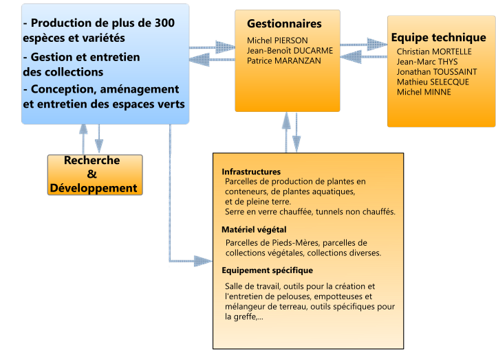 organigramme cthgx   Arboriculture Ornementale