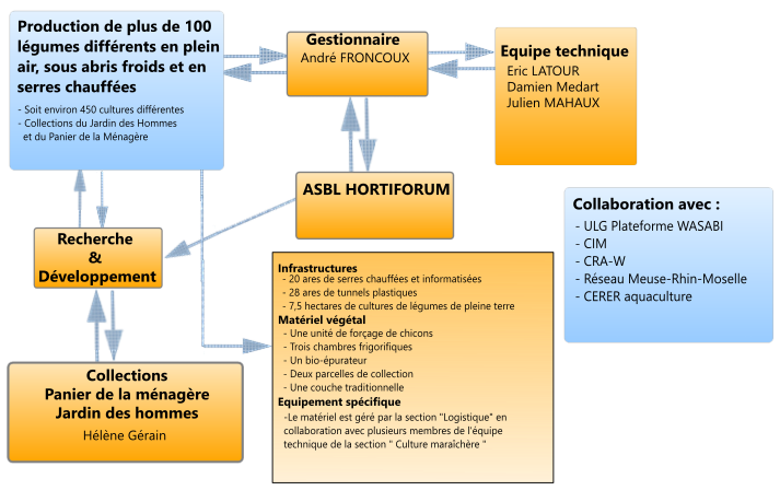 organigramme cthgx Culture Maraichere