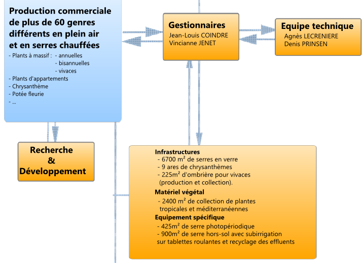 organigramme cthgx floriculture