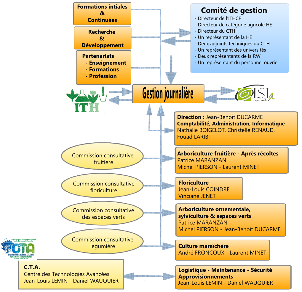 organigramme cthgx