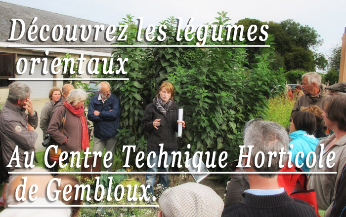 visites plantes comestibles gembloux cthgx cth 2013