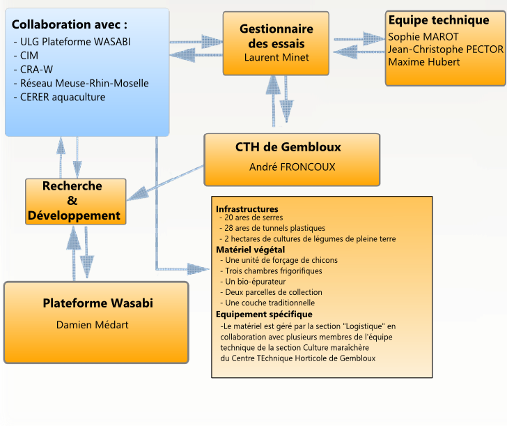 organigramme cthgx Hortiforum