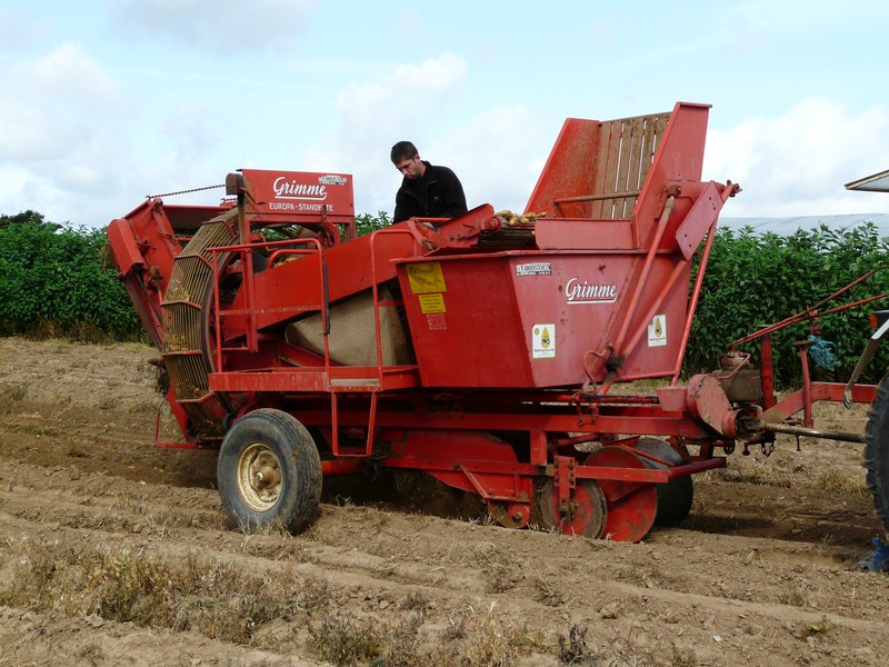 recolteuse pomme de terre GRIMME