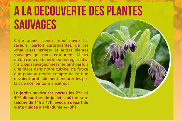 decouverte plantes sauvages gembloux cth 2014